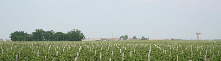 Le village de Saint-Julien et paysages viticoles.