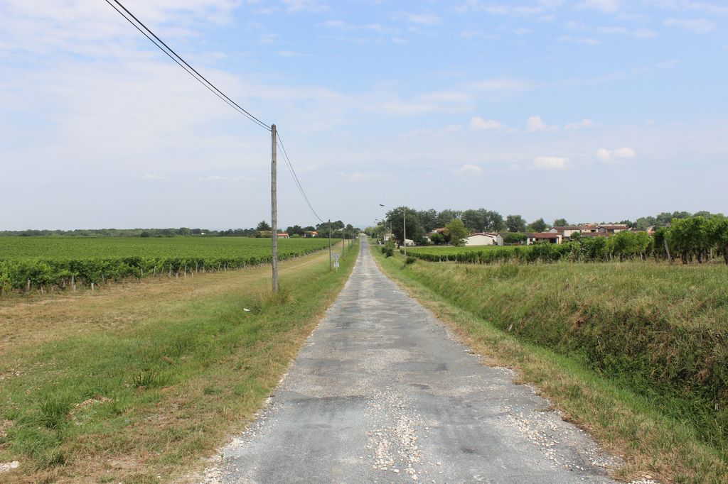 Route de Roubaneyre reliant le village à l'estuaire à l'est.
