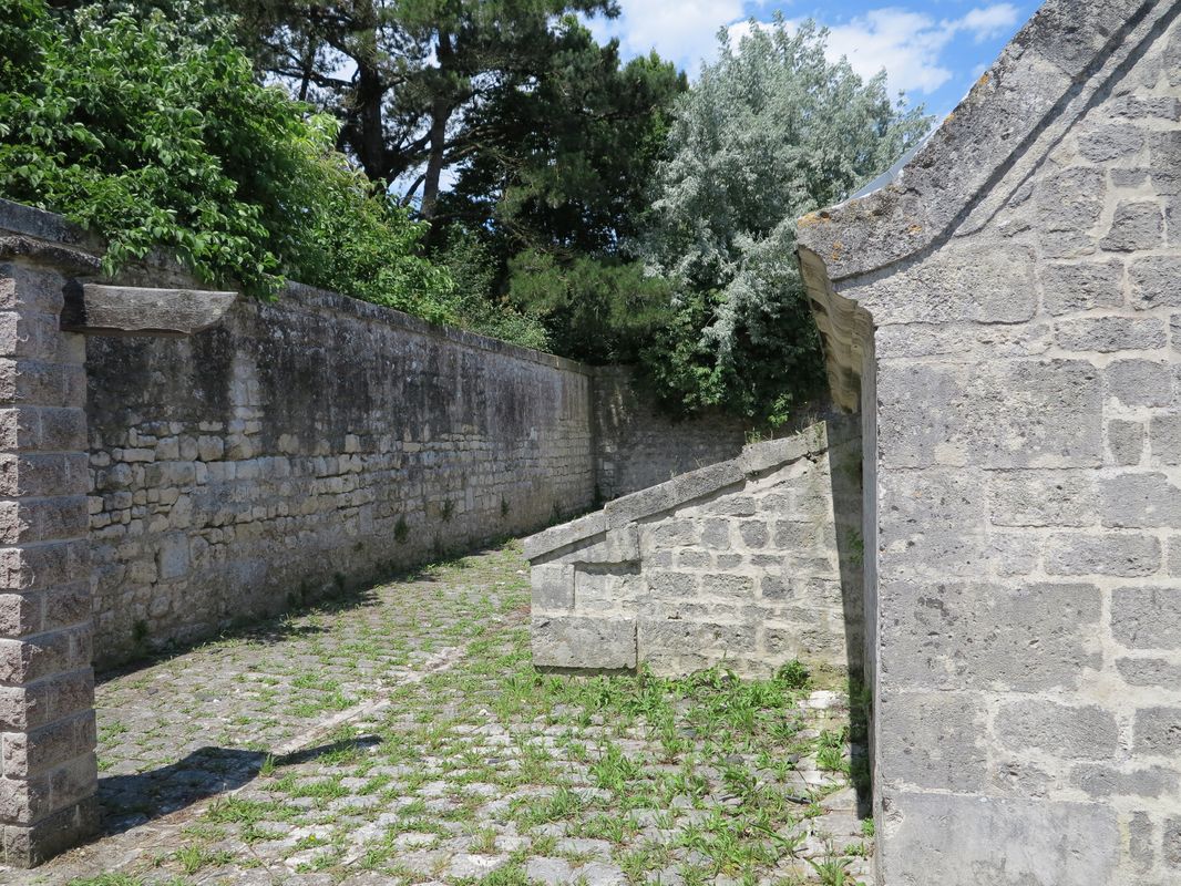 Côté ouest, mur d'enceinte et contreforts du mur gouttereau. 