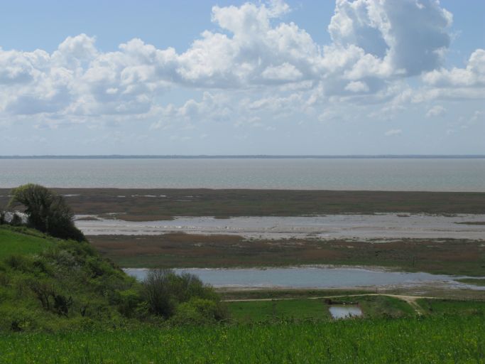 Les marais et l'estuaire vus depuis l'Echailler.