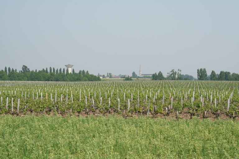 Le village de Saint-Julien et paysage viticole.