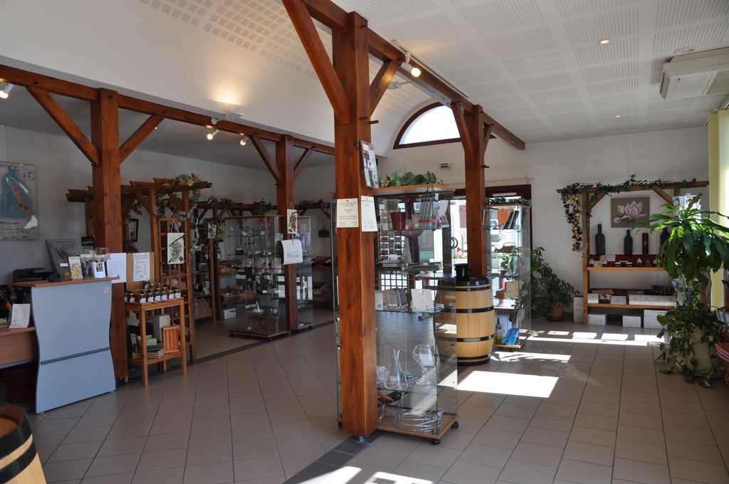 Maison du Tourisme et du Vin : vue intérieure.