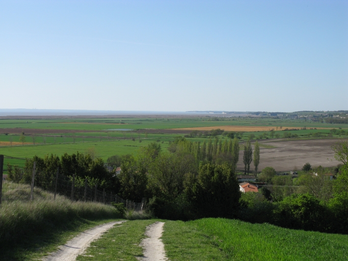 Les marais et l'estuaire jusqu'à Talmont et Meschers-sur-Gironde vus depuis la tour de Beaumont.