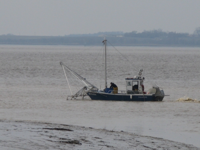 Bateau de pêche dans l'estuaire à l'entrée du port de Vitrezay.