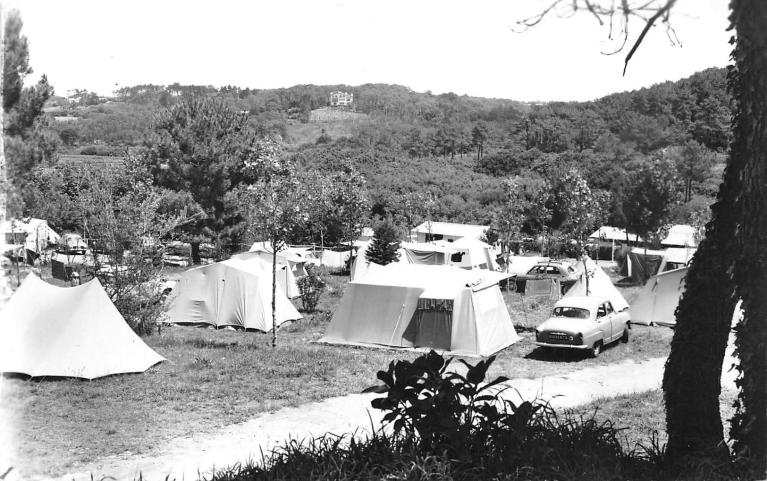 Vue du camping Résidence Les Pins, carte postale, années 1960.