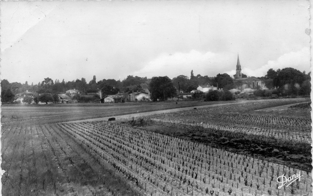 Vue du village depuis les vignes. Carte postale, vers 1950.