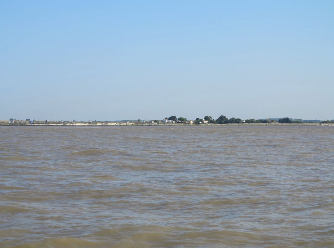 La pointe de Dau, façade estuarienne d'Arces, vue depuis l'estuaire.