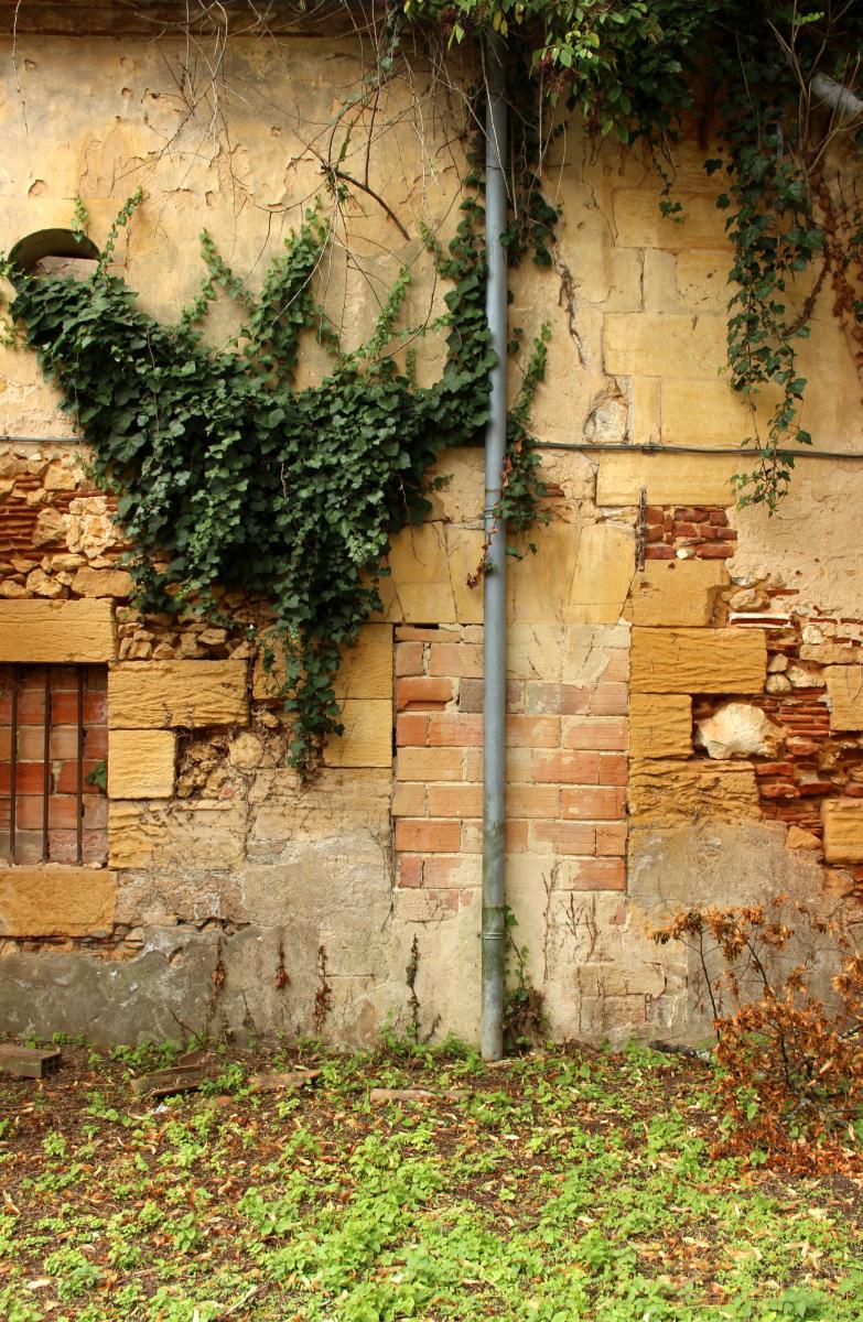 Détail de l'élévation de l'aile de dépendance au sud du jardin : porte à plate-bande murée.