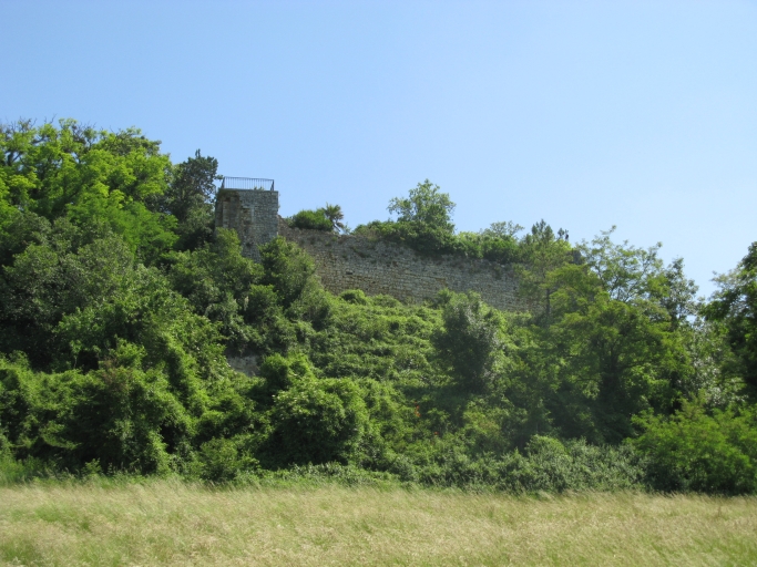 Les ruines du château vues depuis la Trigale.