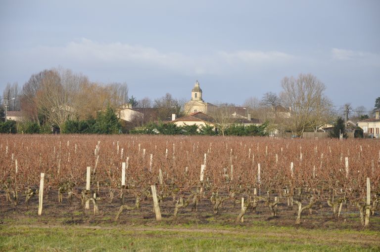 Vue d'ensemble du village entouré de vignes, depuis l'est.