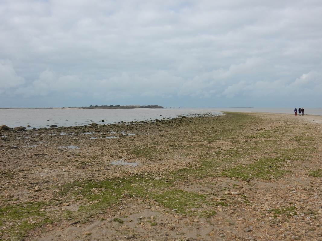 La Passe aux Boeufs, qui se découvre à marée basse, avec l'île Madame et son fort à l'arrière-plan.