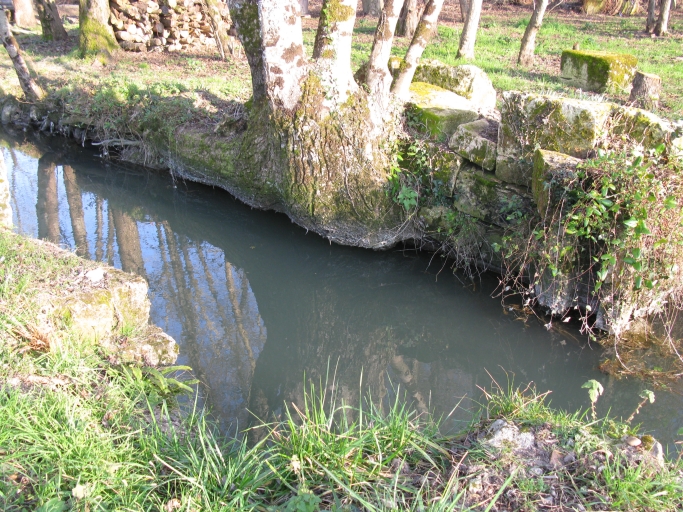Restes d'un barrage sur l'étier de Maubert au niveau de l'ancien moulin à eau.