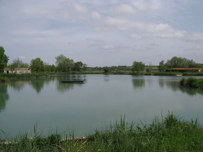L'étang en mont du moulin des Monards, issu de la rivière de Chauvignac.
