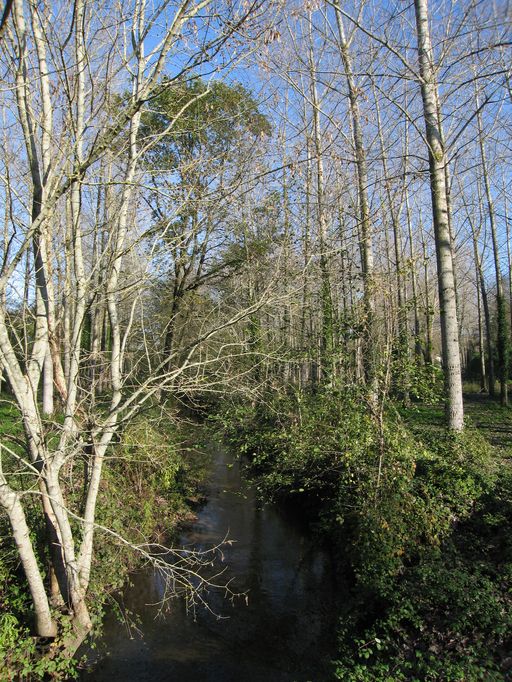 Ruisseau du Cartillon.