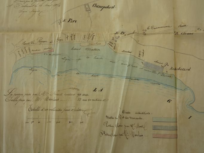 Plan des mattes de Barzan par Michel Augier, géomètre, 14 avril 1854 : mattes de Chant-Dorat.