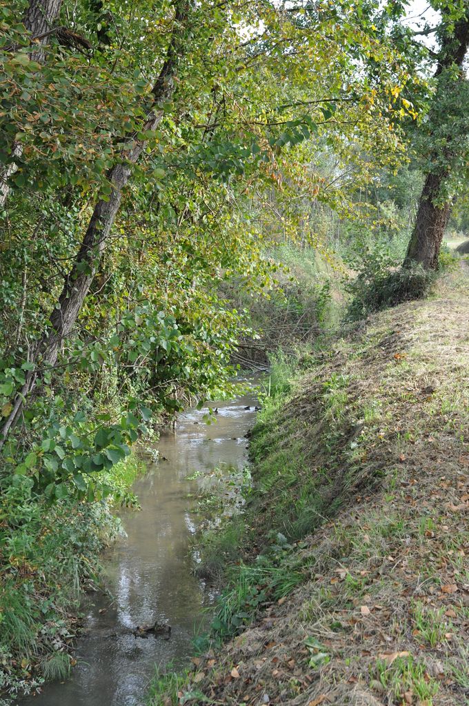 Ruisseau du Grenet.