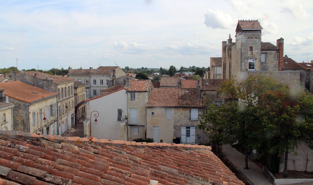 Vue des toitures des maisons donnant rue Pasteur et rue Aristide-Briand.