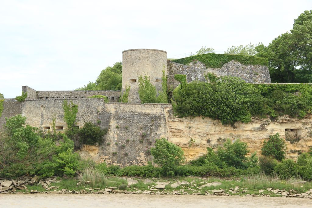 Vue de la falaise et de la Tour de l'Eguillette depuis la Gironde à l'ouest.