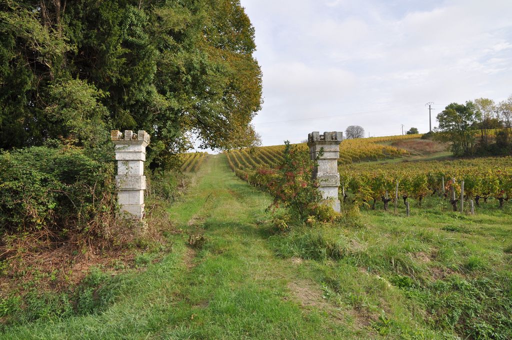 Clos du Piat : portail dans le vignoble.