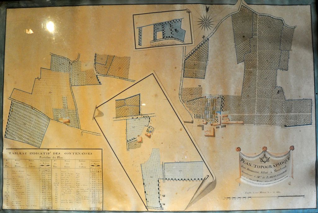 Plan topographique d'un domaine situé à Montuzet, appartenant à M. de Lagaucherie, 1825.