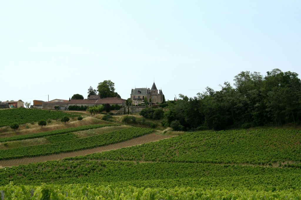 Vue du site depuis le nord-ouest.