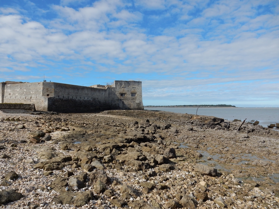Partie nord-est du fort avec la pointe de Coudepont de l'île d'Aix en arrière-plan. 
