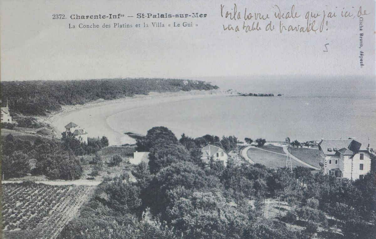 Vignes, bois et premières villas autour de la conche du Platin vers 1910.