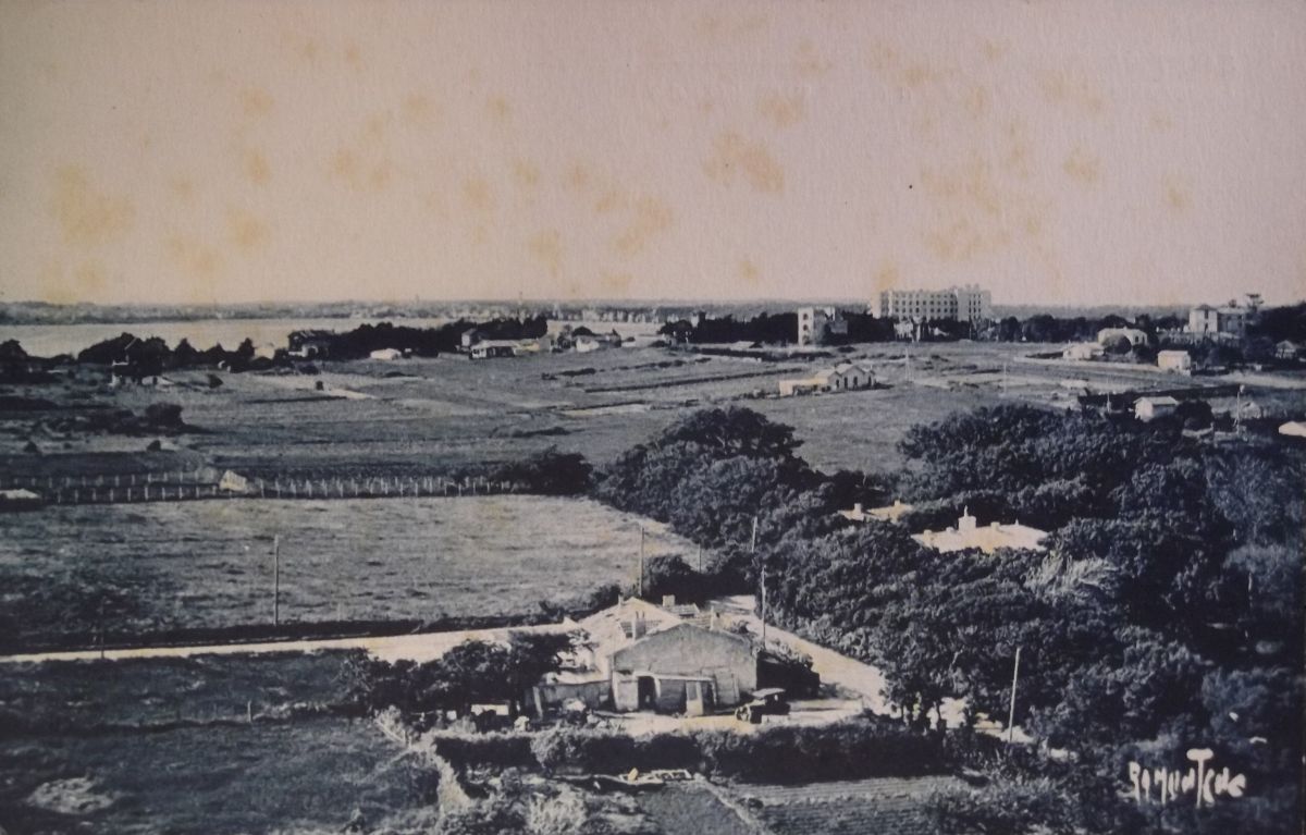Le quartier de la Crête, couvert de vignes, vu depuis le phare vers 1930.