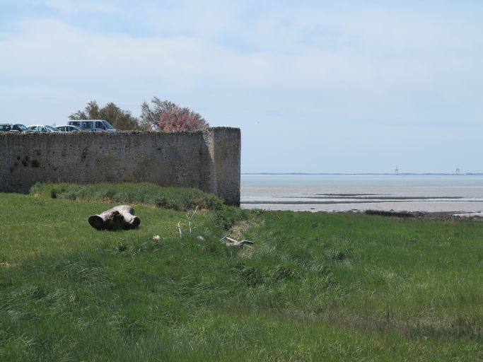 Le mur nord et la demi-tour vus depuis le nord-est.
