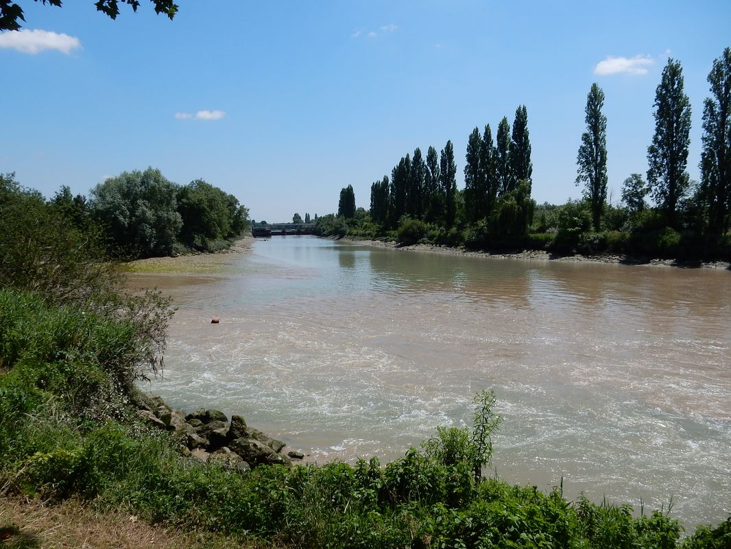 Confluence du canal de dérivation avec le bras naturel de la Charente : le barrage en arrière-plan.