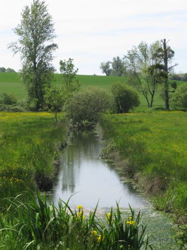 Cours d'eau dans la vallée de Juliat.