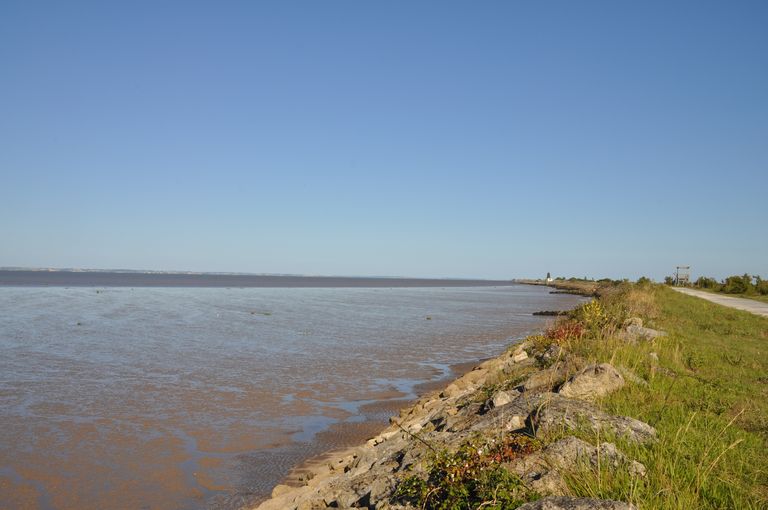 Vue de l'estuaire.