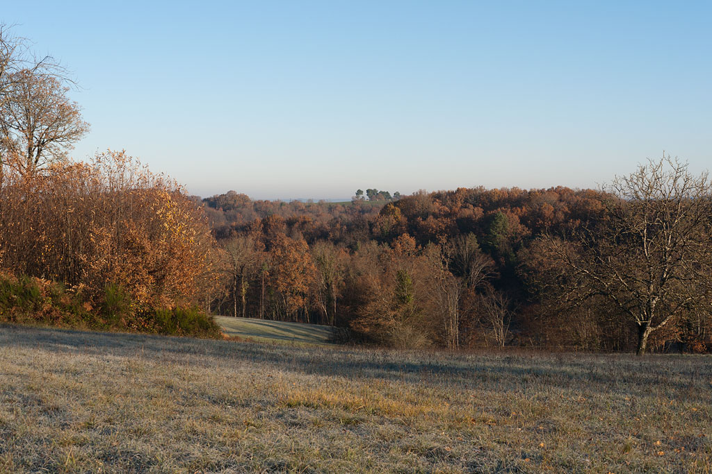 Paysage automnal à Saint-Amand-de-Coly.