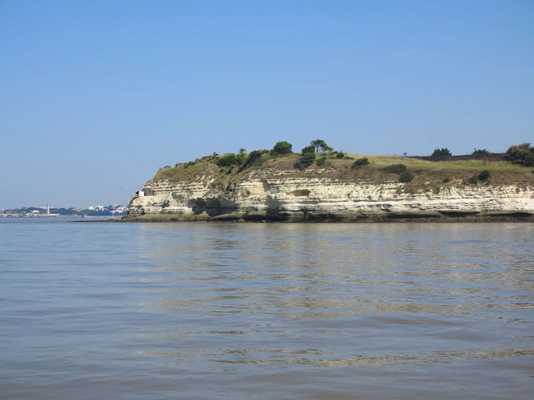 La pointe de Suzac vue depuis l'estuaire, au sud.