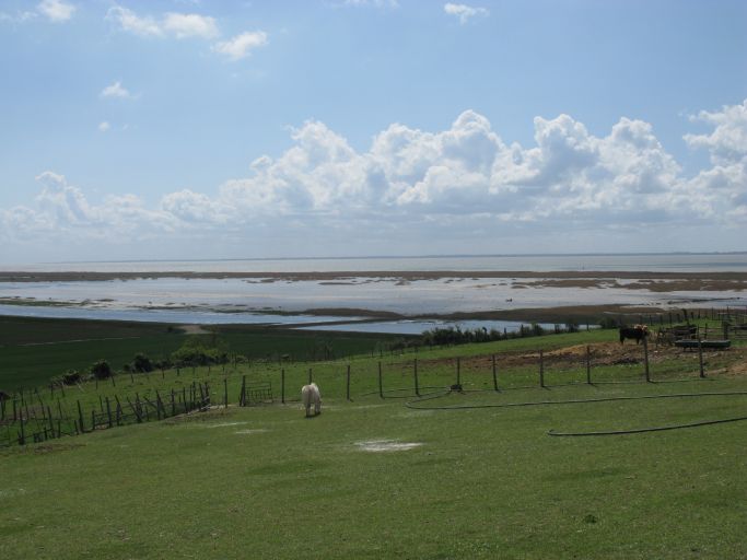 Les marais et l'estuaire vus depuis Tire-Cul.