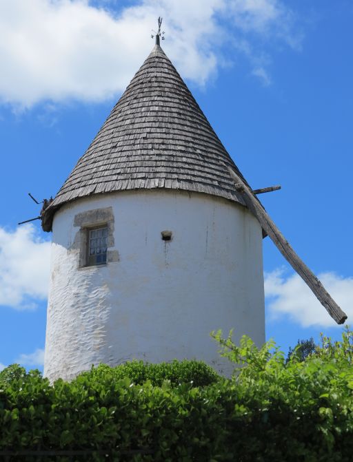 Vestiges d'un guivre sur un moulin restauré à Meschers.