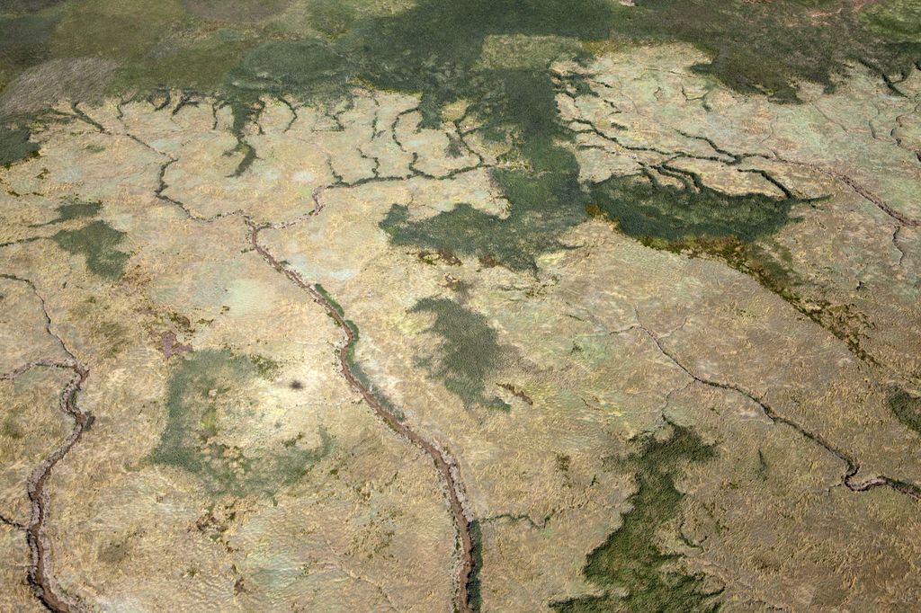 Vue aérienne de marais côtiers.