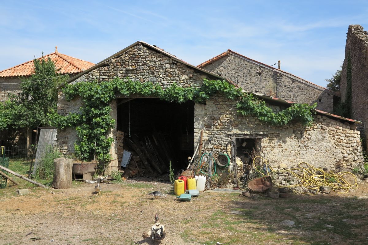Le linteau de la porte charretière d'une ferme de Mortioux, en été, masqué par la végétation.