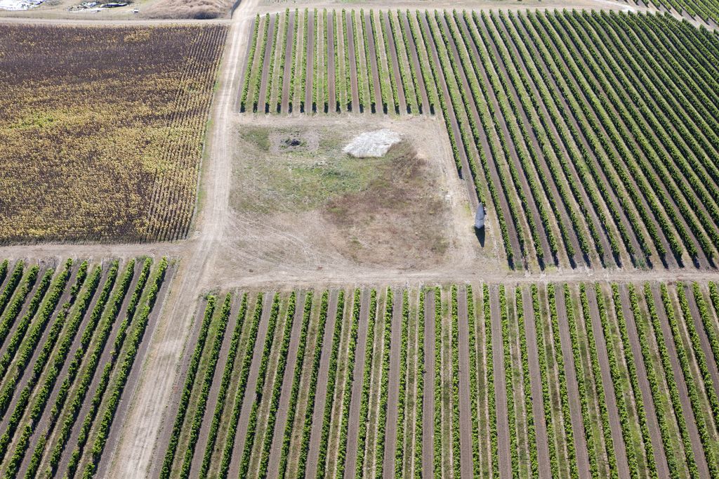 La pyramide de la Garde au milieu des vignes, vue aérienne.