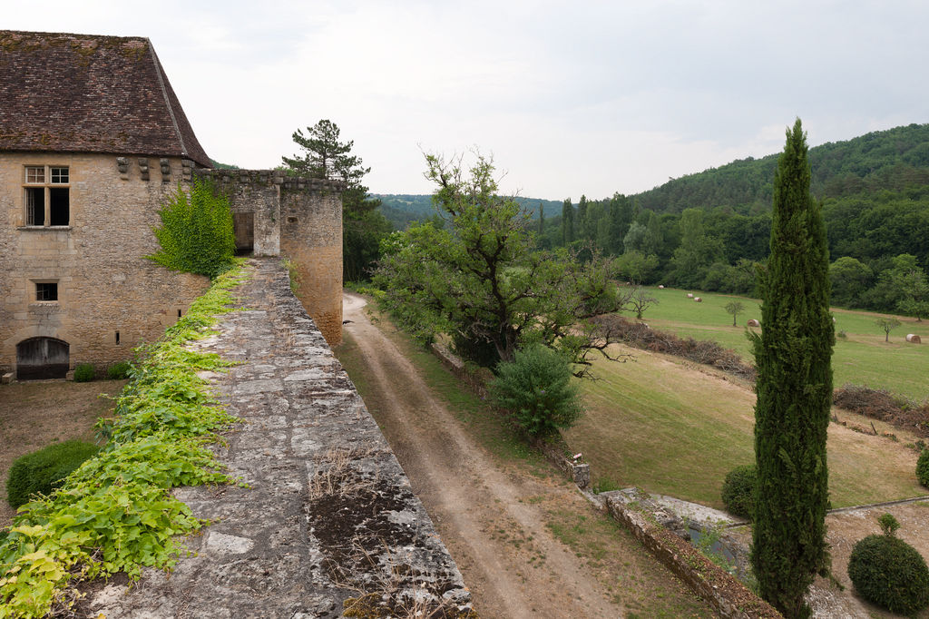 Vue de l'extrémité de l'aile droite, du sommet du mur d'enceinte (sud-ouest), du chemin d'accès au château et des terrasses du jardin au devant.
