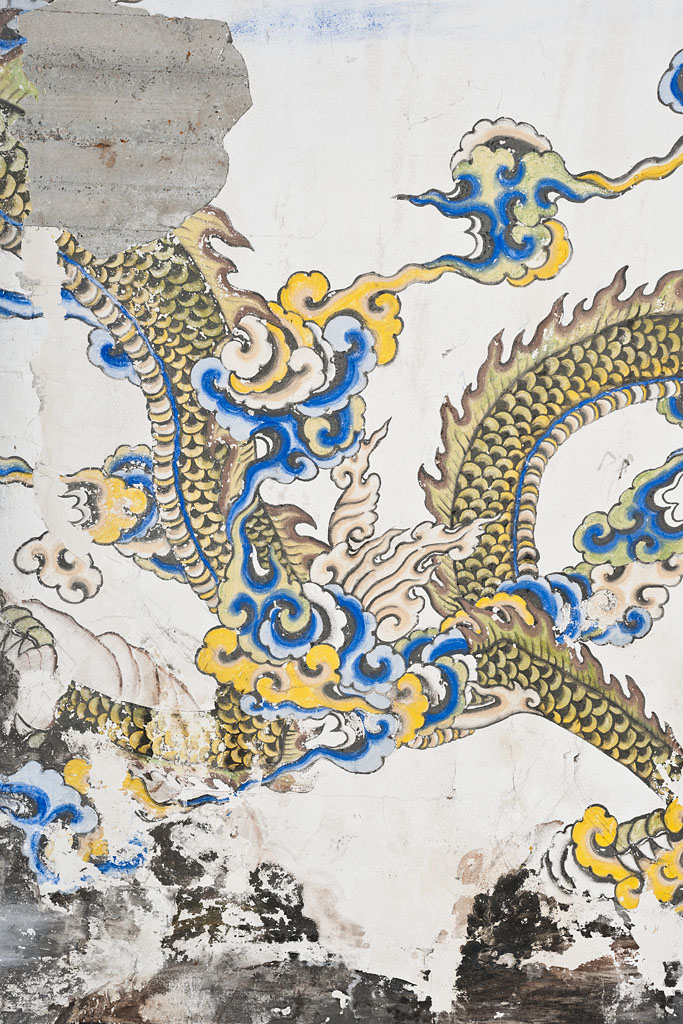 Mur sud, partie médiane : serpent dragon (détail).