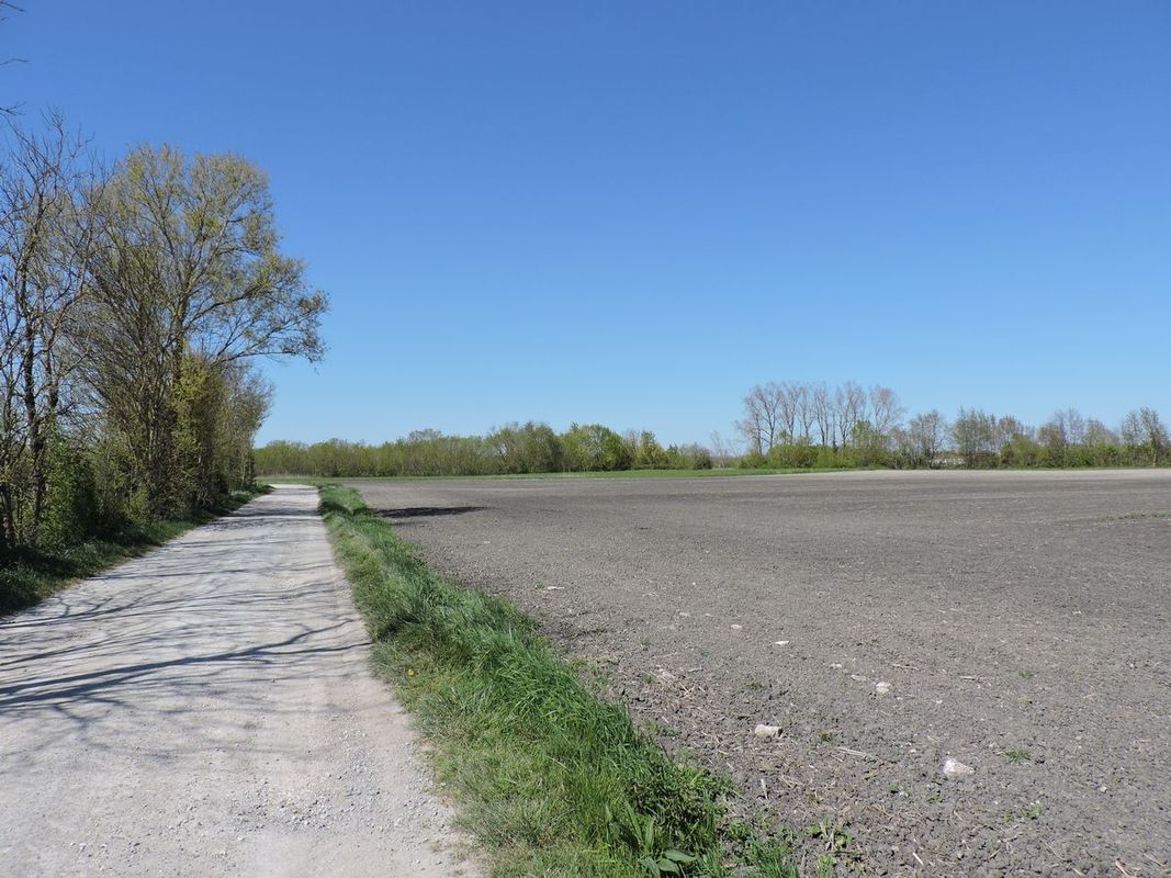 Paysage de marais mouillés remembrés, aux Arrentements.