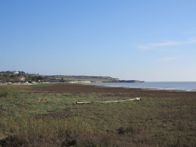 La baie de Chant-Dorat en voie de comblement.