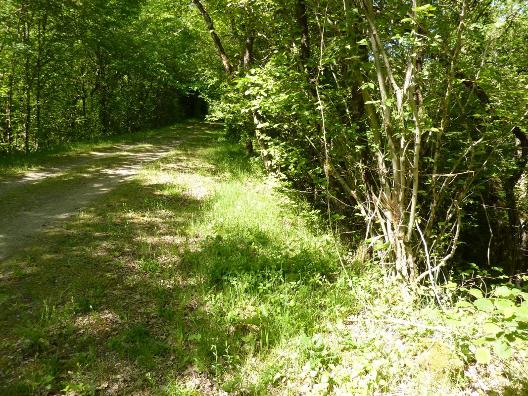 Zone en remblais sur un passage boisé avec une vallée sèche qui sillonne à l'est du viaduc sur la Gartempe, commune de Saint-Germain.