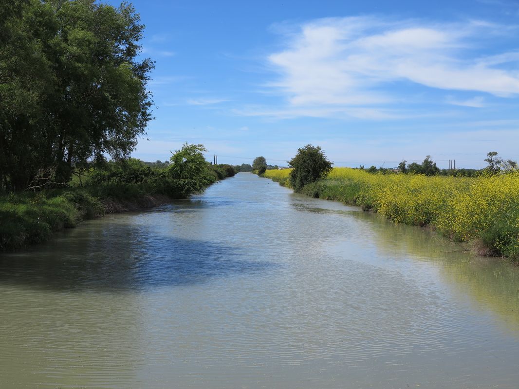 Canal à l'ouest de la Bridoire, sur la commune de Saint-Hippolyte.