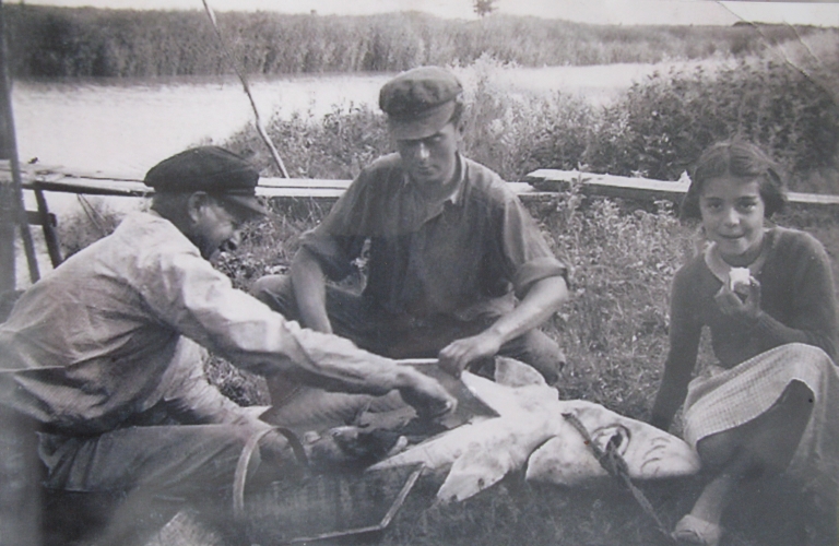 Récupération du caviar dans un esturgeon après la pêche vers 1950.