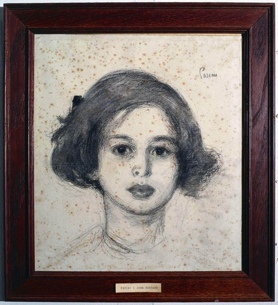 Portrait de Jean Rostand (1894-1977). Dessin au fusain, par Eugène Pascau (1875-1944).