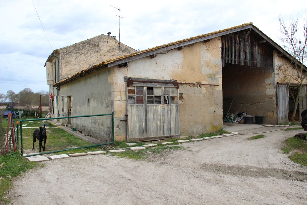 Vue d'ensemble depuis l'est.
