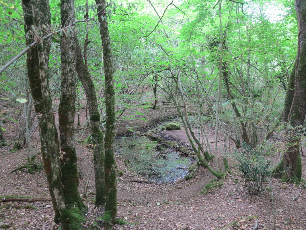 Source aménagée en lavoir-abreuvoir sur un bras secondaire, au sud de Peugilard.