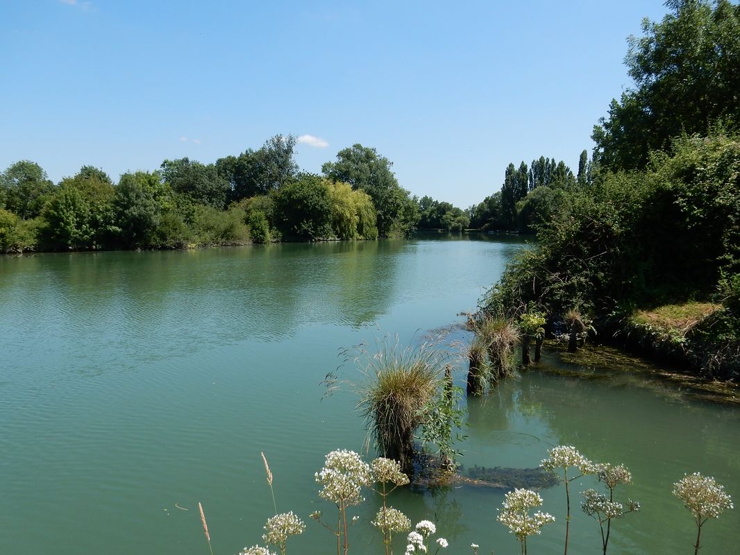 la Charente à l'endroit de la prise d'eau du canal via le Moussard.